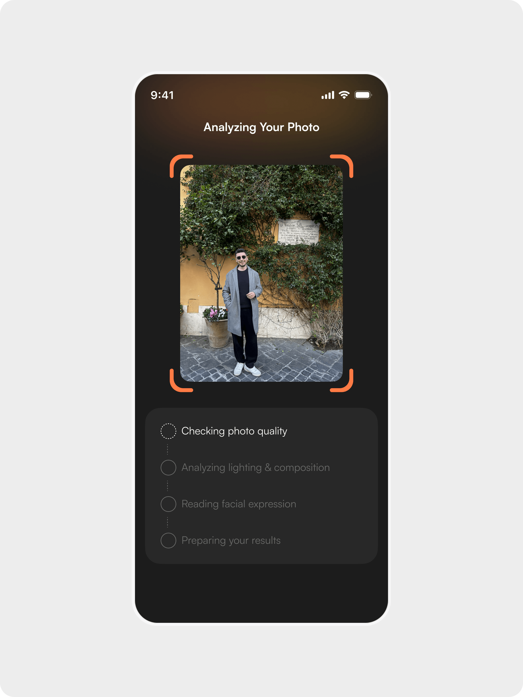 Analyzing screen with the photo in a scan frame and four analysis steps